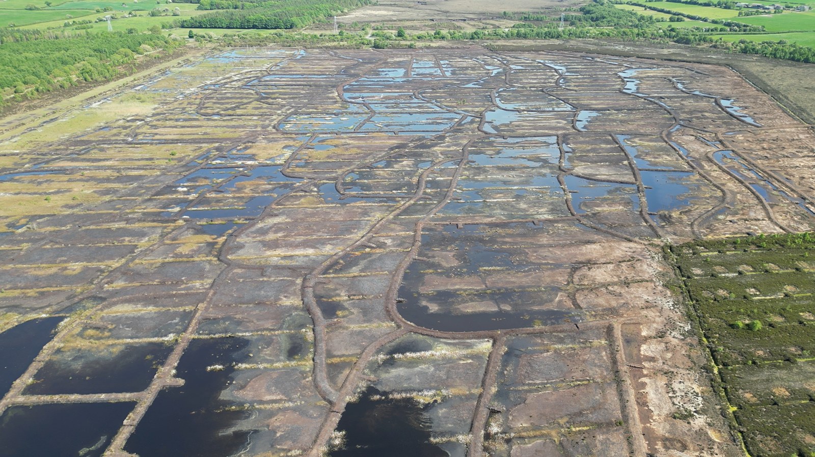 Peatland aerial
